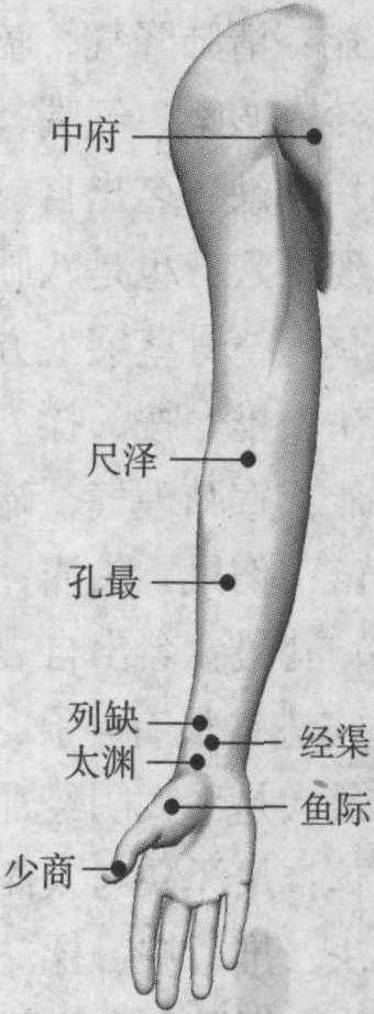 (三) 手太陰肺經